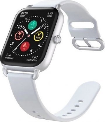 Haylou RS4 Sivý  (00000001230050)