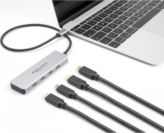 Delock DeLOCK USB 10 Gbps USB Type-C Hub with 4 x USB Type-C socket, USB hub (grey)