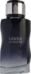 Reyane Tradition Gentle Elsatys EDP 100 ml MEN