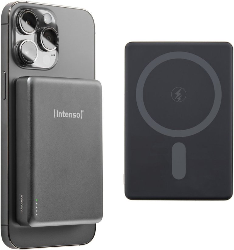 Intenso MW10000 10000 mAh Sivý (7344034)