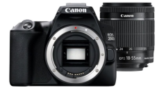 Canon EOS 250D EF/EF-S 18-55 mm F/3.5-5.6 IS STM