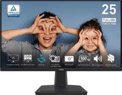 MSI PRO MP251