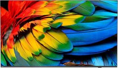 Philips 65HFL6214U/12 LED 65'' 4K Ultra HD Android