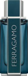 Salvatore Ferragamo Intense Leather EDP 100 ml MEN