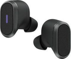 Logitech Zone True