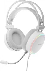 Genesis Neon 613 biele (NSG-2093)