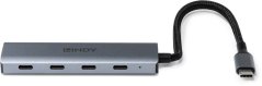 Lindy Lindy 43414 huby i koncentratory USB 3.2 Gen 2 (3.1 Gen 2) Type-C 10000 Mbit/s Sivý