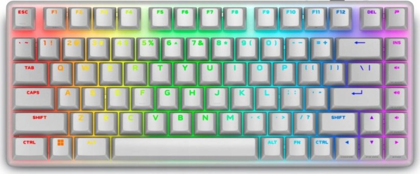 Dell Dell 545-BBFR Alienware Pro | Gaming Keyboard | Wireless | US | Bluetooth | Lunar Light | Alienware Linear Mechanical