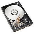 IBM 300GB 3.5'' SAS-2 (6Gb/s)  (44W2234)