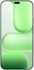 HONOR 600 Lite 8/256GB Green