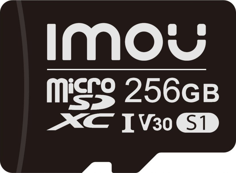 IMOU S1 MicroSDXC 256 GB Class 10 UHS-I/U3 V30 (ST2-256-S1)