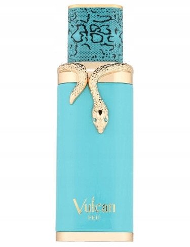 Histoires de Parfums French Avenue- Vulcan Feu 100 ml MEN