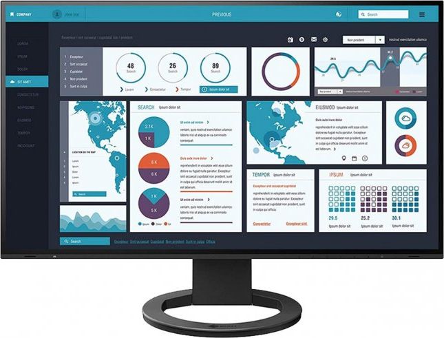 Eizo FlexScan EV2495-BK