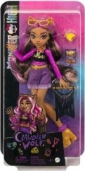Mattel Monster High. Bábika z Príslušenstvomi HKY72