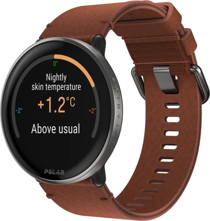 Polar Ignite 3 Titanium Brown