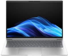 HP HP EliteBook 6 G1a Notebook AI - 177deg-Scharnierdesign - AMD Ryzen 7 250 - Win 11 Pro - Radeon 780M - 16 GB RAM - 512 GB SSD NVMe - 40.6 cm (16") IPS Touchscreen 1920 x 1200 - Wi-Fi 7, Bluetooth - 4G - Pike Silver Aluminium - kbd: Deutsch