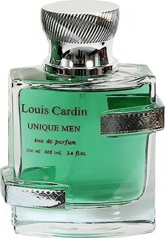 NoName LOUIS CARDIN Unique Men EDP spray 100ml MEN