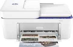 HP DeskJet 4230e (60K30B)