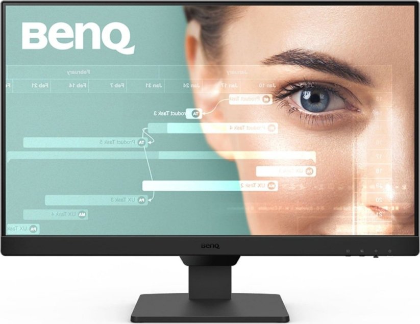 BenQ GW2490 (9H.LLSLB.QBE)
