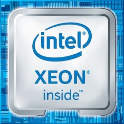 Intel Xeon E-2224G, 3.5 GHz, 8 MB, OEM (CM8068404173806)