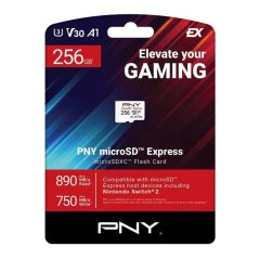 PNY Express 256GB (P-SDU256P31880EXP-GE)