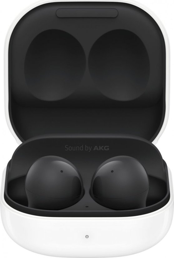 Samsung Galaxy Buds 2 Black (SM-R177NZK)