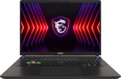 MSI Notebook|MSI|Vector 16 HX A14VHG|CPU  Core i7|i7-14650HX|2200 MHz|16"|2560x1600|RAM 16GB|DDR5|5600 MHz|SSD 1TB|NVIDIA GeForce RTX 4080|12GB|ENG|Card Reader SD Express|Windows 11 Home|2.7 kg|VECTOR16HXA14VHG-677NL