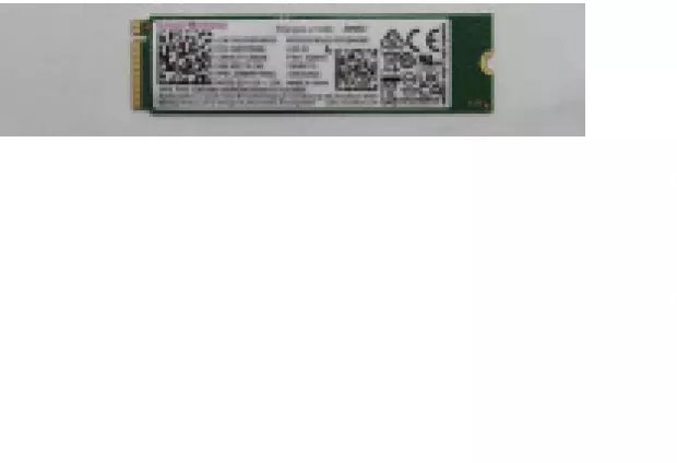 Lenovo 256GB M.2 2280 PCIe 4.0 NVMe