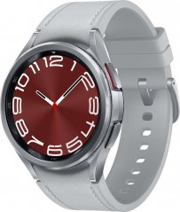 Samsung Galaxy Watch 6 Classic Stainless Steel 43mm LTE Sivý  (SM-R955FZSAEUE)