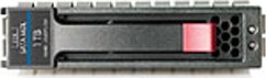 HP 1TB 3.5'' SATA II (3 Gb/s)  (454146-S21)