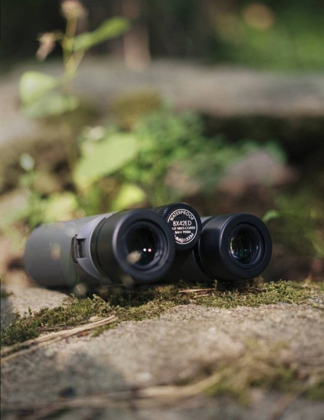 Focus Observer 8x42 ED