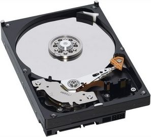 IBM 300GB 3.5'' SAS-2 (6Gb/s)  (49Y1899)