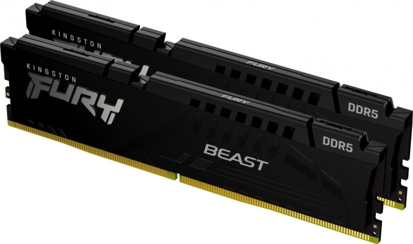 Kingston Fury Beast, DDR5, 32 GB, 5600MHz, CL40 (KF556C40BBK2-32)