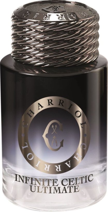 Charriol Charriol, Infinite Celtic Ultimate, Eau De Parfum, For Men, 100 ml For Men MEN