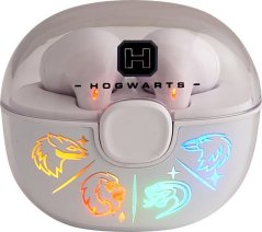 Harry Potter Harry Potter Hogwarts (GSM176111)