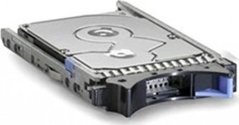 IBM 300GB 2.5'' SAS-2 (6Gb/s)  (81Y9935)