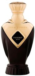 Paris Corner Paris Corner Prodigy Noir parfumovaná voda spray 100ml MEN