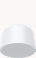 Axis AXIS C1510 NETWORK PENDANT