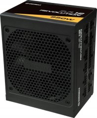 Enermax Revolution DF12 850W, PC power supply (black, 1x 12-pin GPU connector, 3x PCIe, cable management, 850 watts)