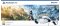 Sony PlayStation VR2 + Horizon Call of the Mountain