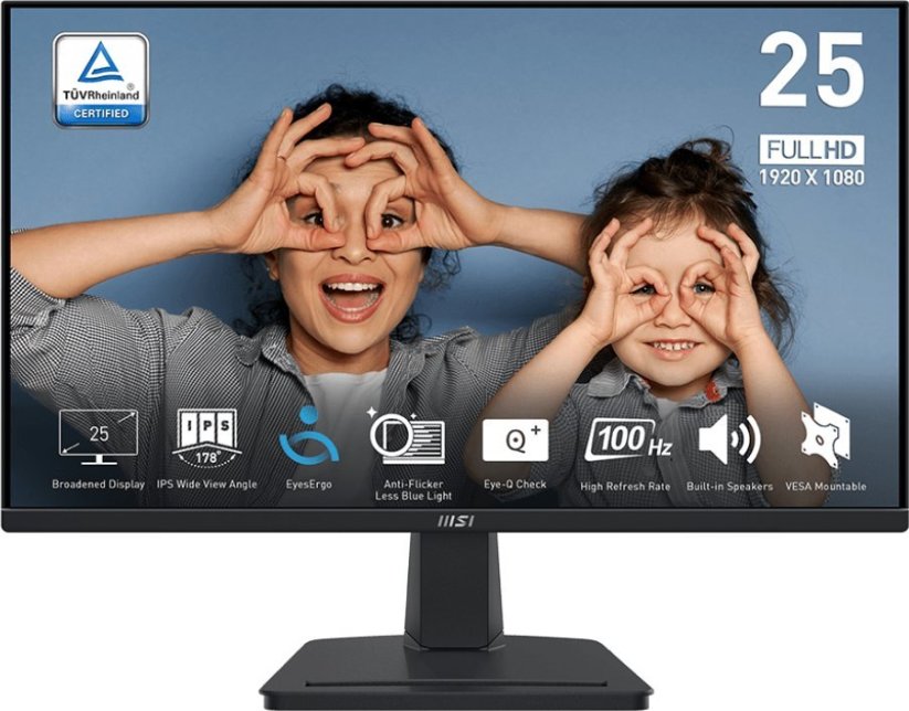 MSI PRO MP251