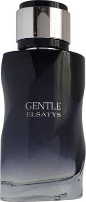 Reyane Tradition Gentle Elsatys EDP 100 ml MEN