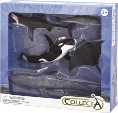 Collecta Sada zwierzęta morskie 5 el.