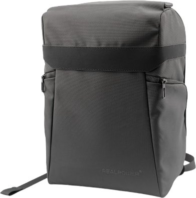 Realpower RealPower TravelBag Pro,TSA.Magnetverschluss,900D Anti-Skid
