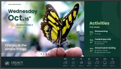 BenQ ST4304 43IN 1092CM LFD LED