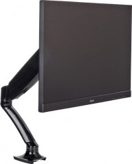 iiyama Držiak na monitor 10" - 27" (DS3001C-B1)
