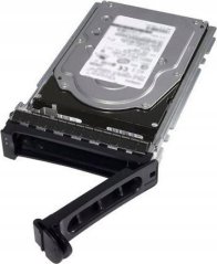 Dell 300GB 2.5'' SAS-2 (6Gb/s)  (CXF82)