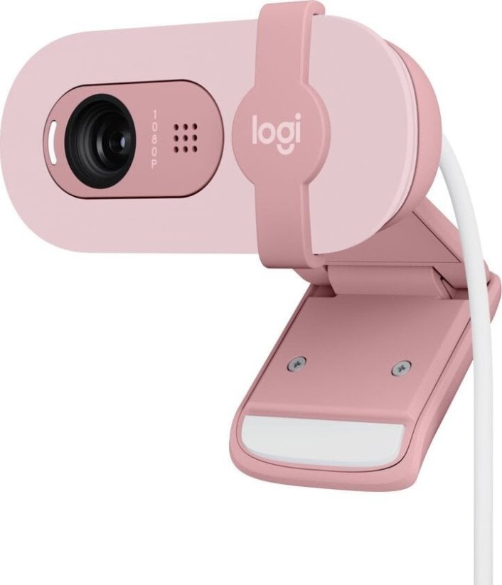 Logitech Brio 100 (960-001623)