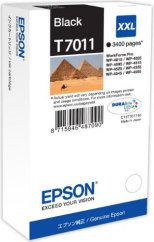 Epson Toner C13T70114010 / T7011 (black)