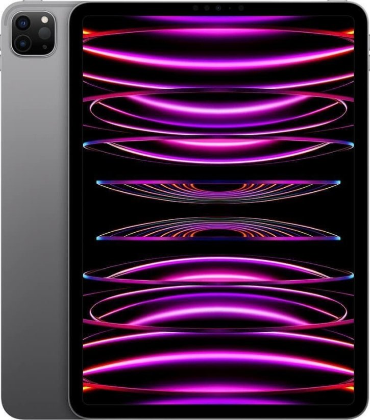 Apple iPad Pro 11" (2022) 2 TB Sivý (MNXM3FD/A)